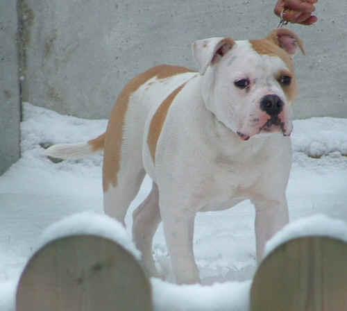  Suis beau non ?? ! 
