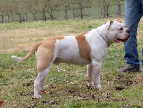  Qu'il est chou ce gros bb !! 