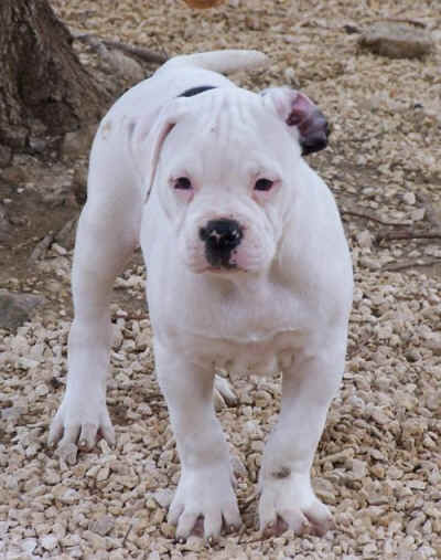  Je prends la pose ... 