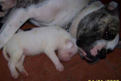  Moi et maman en plein calin !