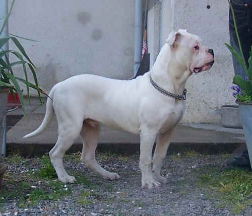  L je fais mon beau gosse ... 