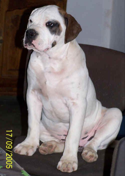  J'aime bien prendre la pose ...;o) 
