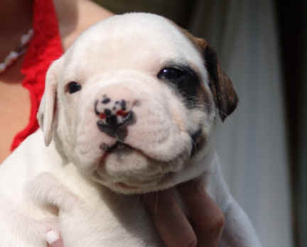  et beau gosse  ... 