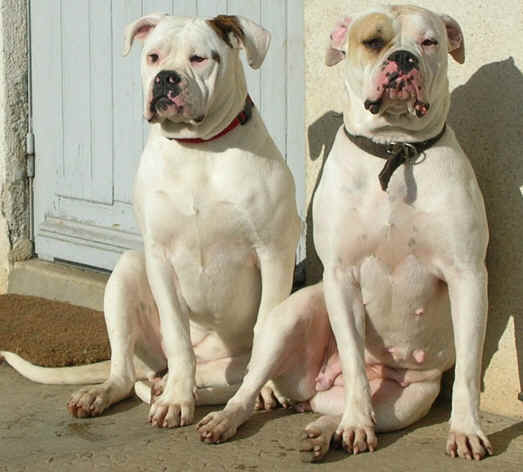   L mman Tanis et moi, nous prenons la pose, elle est trop belle mman avec ses couettes !! 