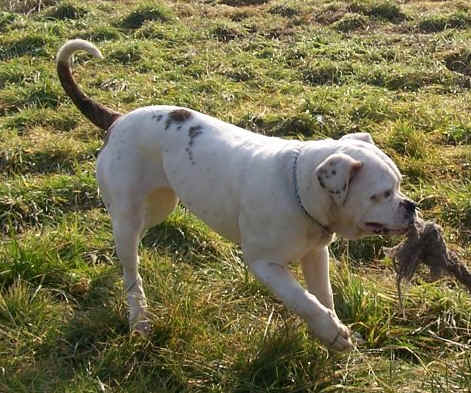 Yes a c'est une vie de chien ..:o)) 