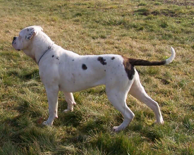 Qu'elle belle puce ma sautrelle ..:o)) 