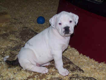  N'est elle pas trop chou ...???  