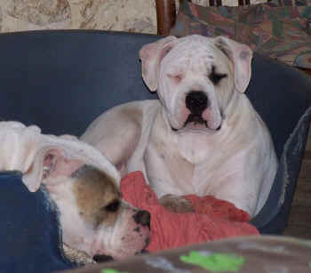  Moi et maman, la sieste  ... 