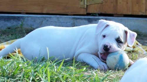  Elle est pas trop belle ma petite puce ??! 