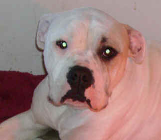  Et voila ma bouille d'amour je venais de faire mes tous premier poussins  :o)) ??!! 