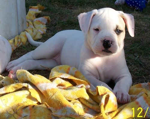  Pleine de vie et adorable.. de quoi craquer! 