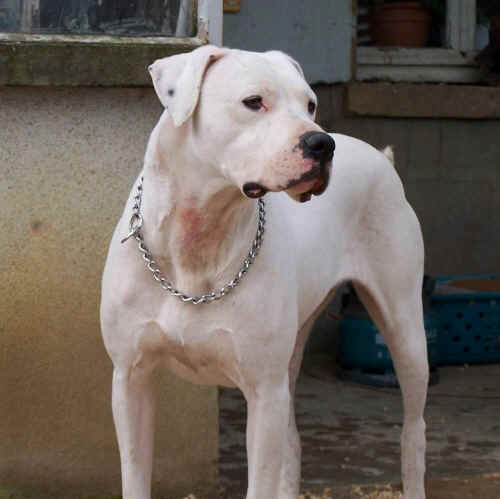 Tess est un mlange trs bien dos entre l'nergie et la douceur vraiment une nnette gniale ! 