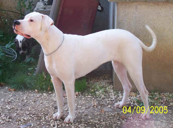 Une de mes photos prfr de Ranie,  10 mois on dirait un petit ange de douceur ... 