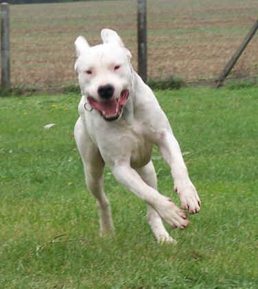  Encore moi  !!  