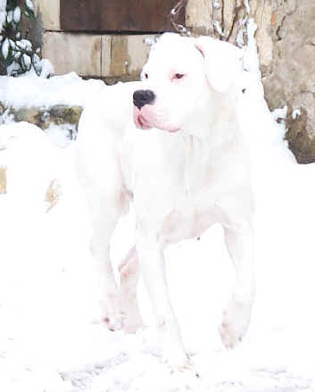  Dans ma belle robe blanche ...Athna c'est moi !!   
