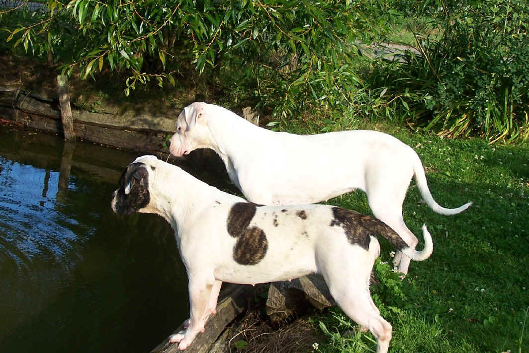  Encore nous prtes  aller faire un petit plouff.. ha oui j'oubliez de vous dire que j'adore l'eau ...   