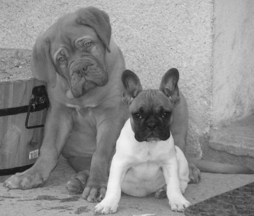 Moi et ma super copine Charlotte ;o)) !!! 