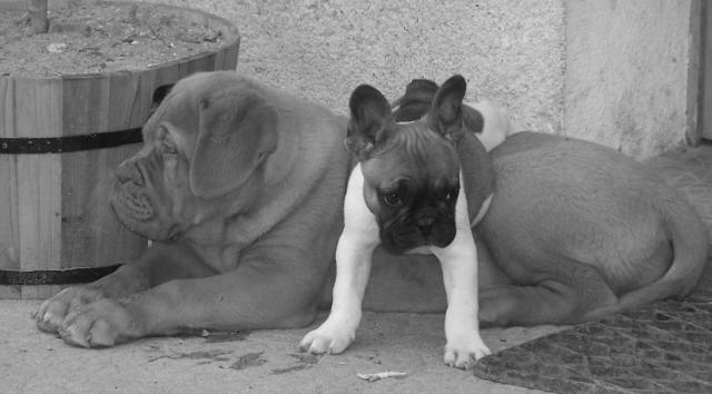 Moi et ma super copine Charlotte, la je lui sert de coussin  ;o)) !!! 