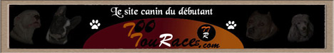 tootouraces: le site canin du debutant